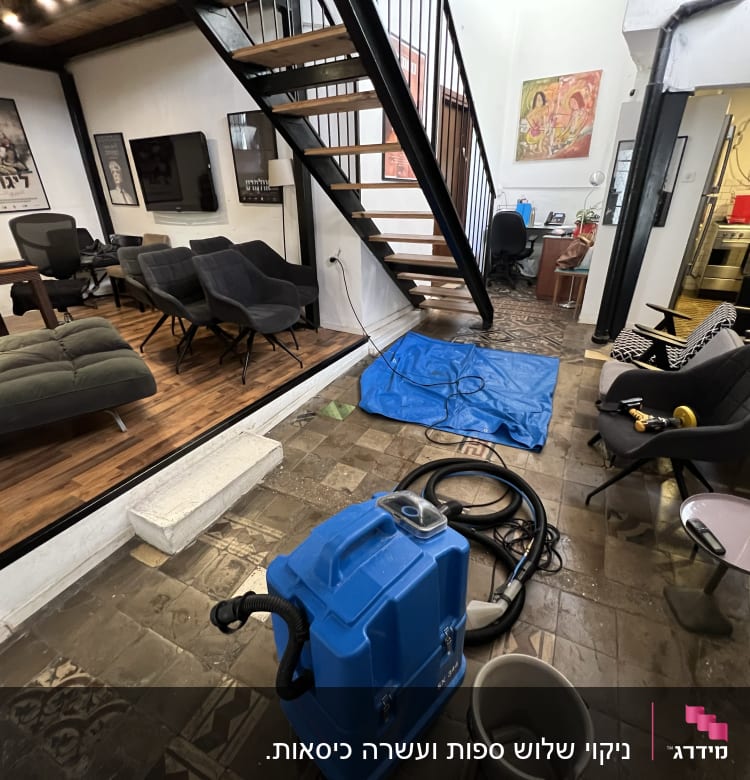 ניקוי שלוש ספות ועשרה כיסאות.